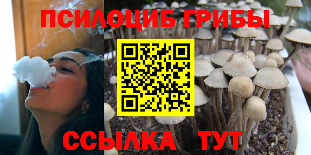 Псилоцибиновые грибы прущие грибы  Псилоцибиновые грибы Magic Shrooms  Вход с VPN  магазин продажи   Когалым 